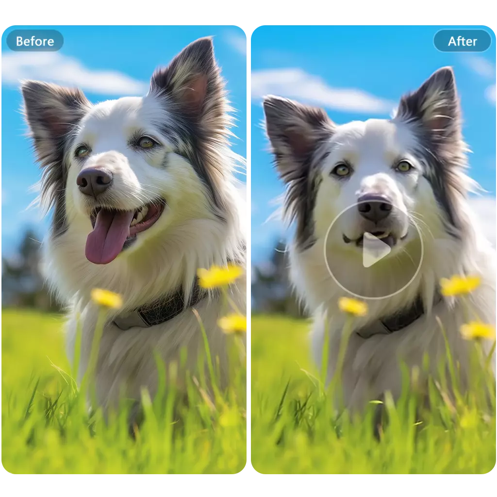 Why Choose Our AI Pet Talking Tool?