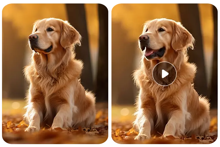 Make Personalized Pet Talking Video for Greeting