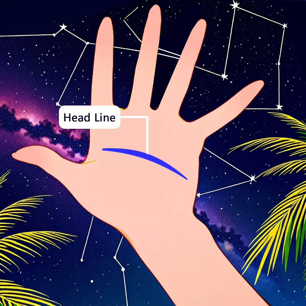 Head Line: Discover Your Career Path and Personal Growth