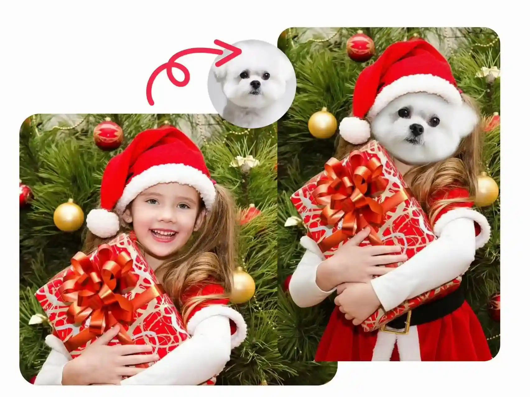 Create a Funny Avatar with Animal Face Swap