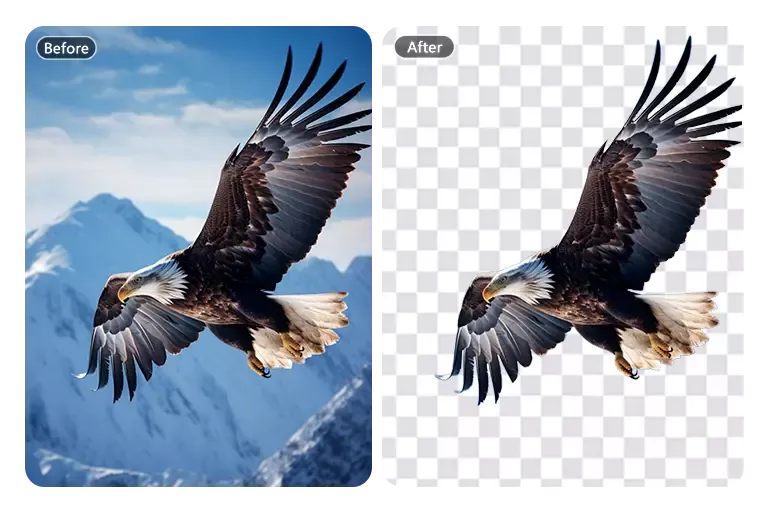 Magic Erase Background for Creative Designs