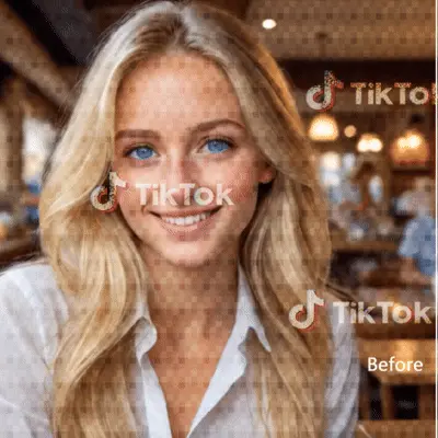 video watermark remover
