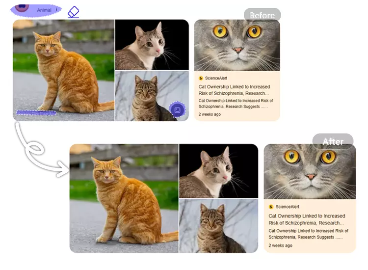 Clean Up Clutter in Your Screenshots with Magic Eraser