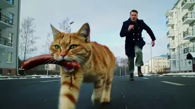 Realistic style videos