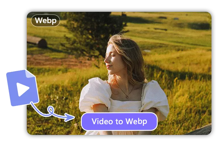 Convert MP4 to WebP for Silent Auto-Play GIFs