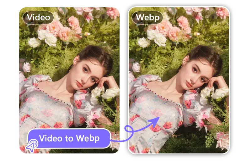 Reduce File Size with Video to WebP Converter
