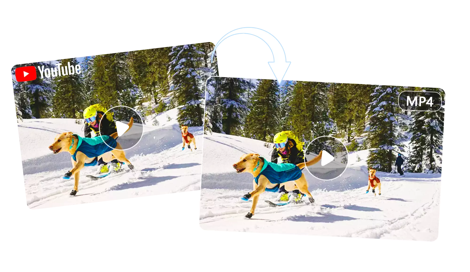 Back Up Original Videos with YouTube to MP4 Converter